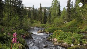 Река Малый Казыр 4К