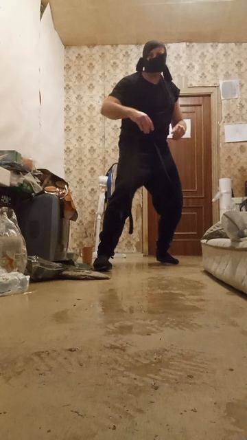 Крайне Северный Ниндзя: 9 Ноябрьское Чудо 1 (09.11.2025) Very Nordic Ninja: 9 November Wonder 1 #Art