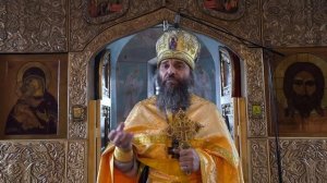 "Не дам топить моих свиней!" 9.11.2025