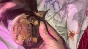 Доброго утречка и легкого понедельника.