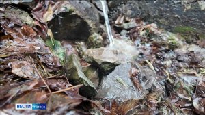 Вести-Томск, выпуск от 08.11.2025 20:50