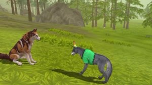 типы игроков в вилд крафт!