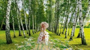 Ромашки! Юрий Шатунов!