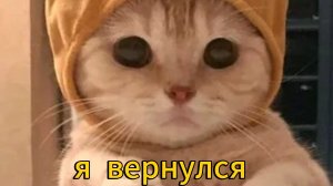Я ВЕРНУЛСЯ🤯🥳