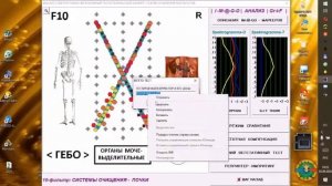 Фулерен C60 от компани Full Energy. Тестирование формулы по технологии ИМАГО.
