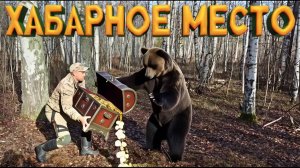 Богатая полянка с множеством монет — мы не зря сюда вернулись.