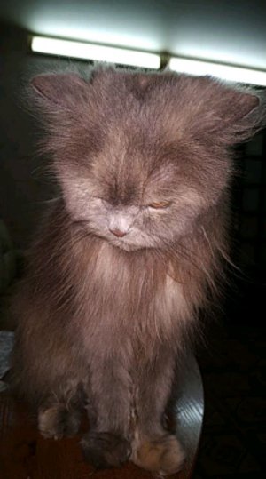 Мой салон красоты 2