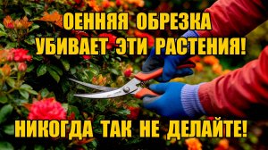 НЕ ОБРЕЗАЙТЕ ЭТИ РАСТЕНИЯ ОСЕНЬЮ! ЭТО ИХ ПОГУБИТ!