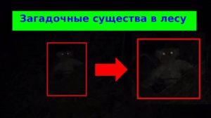 Страшные вещи криптиды снятые на камеру - Жуткие видео