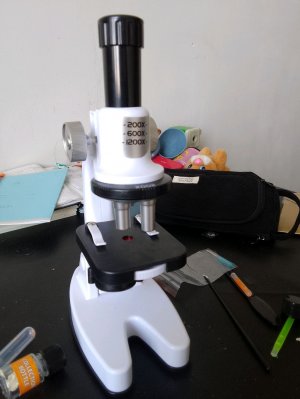 эксперимент