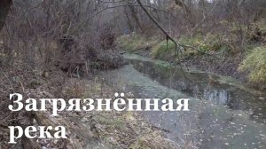 Итоговый репортаж. В Перевальском районе очищают участок реки Белая