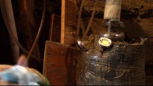 Добыча биогаза и биотоплива.