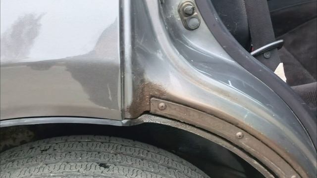 petal_20251109_143420.mp4