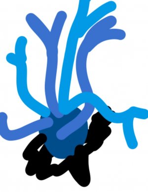 распаеовка оригенала