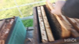 Объединение пчёл , на нужную матку.