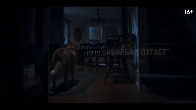 Глазами пса!!! (хоррор) смотреть онлайн