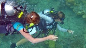 Ещё раз про Австралию - Часть 2 (2011)