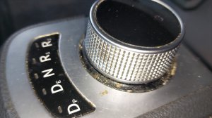 🐷 Где вас Бл@ть таких выращивают? Свиньи в Дальнобое!