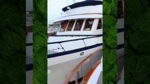 Сборник №69. Веселые и прикольные моменты из обычной жизни!