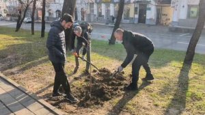 Cтавропольские города продолжают озеленять