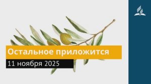 11 ноября 2025. Остальное приложится. Под сенью благодати.