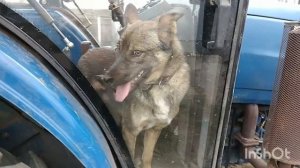 Заводи, хозяин, и поехали!