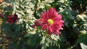 07=11=2025   зн   (30)