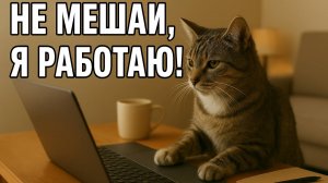 Смех до слёз: лучшие приколы №208