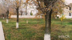 Легко и здорово!Наша осенняя прогулка/Небольшая Покупочка