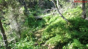 Путешествие по Кольскому полуострову. Часть пятая