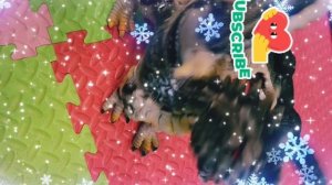 ДИНАЗАВРИКИ ДЛЯ ДЕТИШЕК,  МУЛЬТИКИ ДЛЯ ДЕТЕЙ,  МУЛЬТИКИ ПРО ДИНАЗАВРИКИ,  ИГРОВАЯ ЗОНА