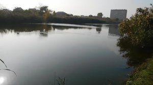 09=11=2025  ник  ТЭЦ   (28)