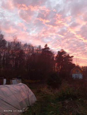 Чота (у меня нет фантазии)