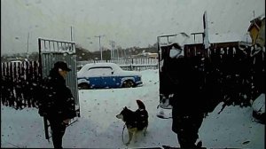 Танцы с Бумером