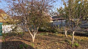 У Валентины. Родники. Белореченск. Краснодарский край