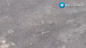 Карусель с двумя загулявшими хряками