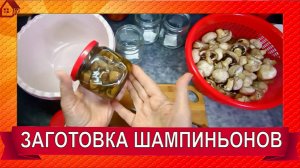 ШАМПИНЬОНЫ Заготовка грибов в скороварке на зиму в банках