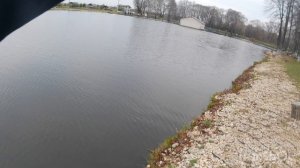 Форель на платнике