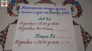 Декабрь 2025: Когда Сажать Озимый Чеснок и Лук для Богатого Урожая?