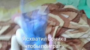 У меня дома игрушки живые