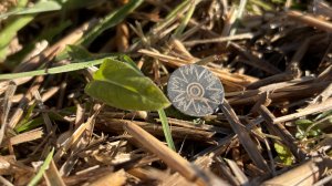 много народу, да мало кислороду