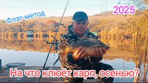 Ловля карпа осенью, на флэт-метод. Где и как ловить карпа осенью, на флэт-фидер. 2025.
