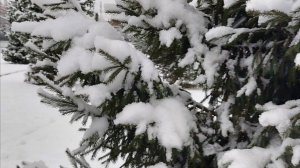 Зима пришла! На этот раз на постоянной основе | Поехала в Новокузнецк●●●