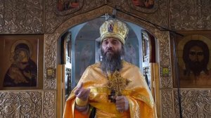 ☦️"Не дам топить моих свиней! "09.11.2025г.