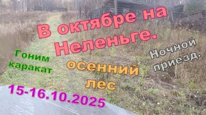 Поездка в октябре 2025 на Неленьгу. Приезд и дорога на рыбалку.