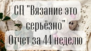 СП "вязание это серьёзно" отчет 44 неделя