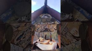 1000004724.mp4Кормушка.09.11.2025г.