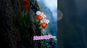 Никогда, никогда, никогда.