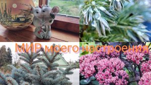 09.11.25 Дача.Закрываем сезон.