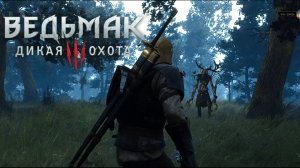 Работа для ведьмака:)►Ведьмак 3 #31